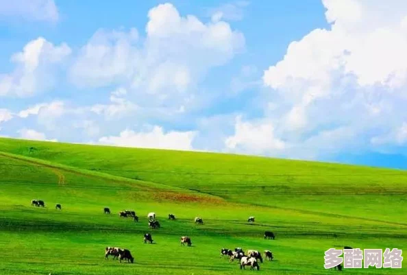 探索久久青青草原国产精品免费:畅享无尽精彩与无限乐趣的在线体验 探索久久青青草原国产精品免费:畅享无尽精彩与无限乐趣的在线体验